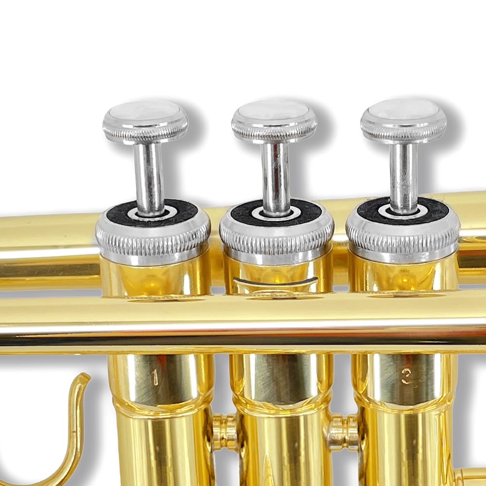 Standard Trumpet Set with Carrying Hard Case, 7C Mouthpiece, Cleaning Cloth and Gloves M472