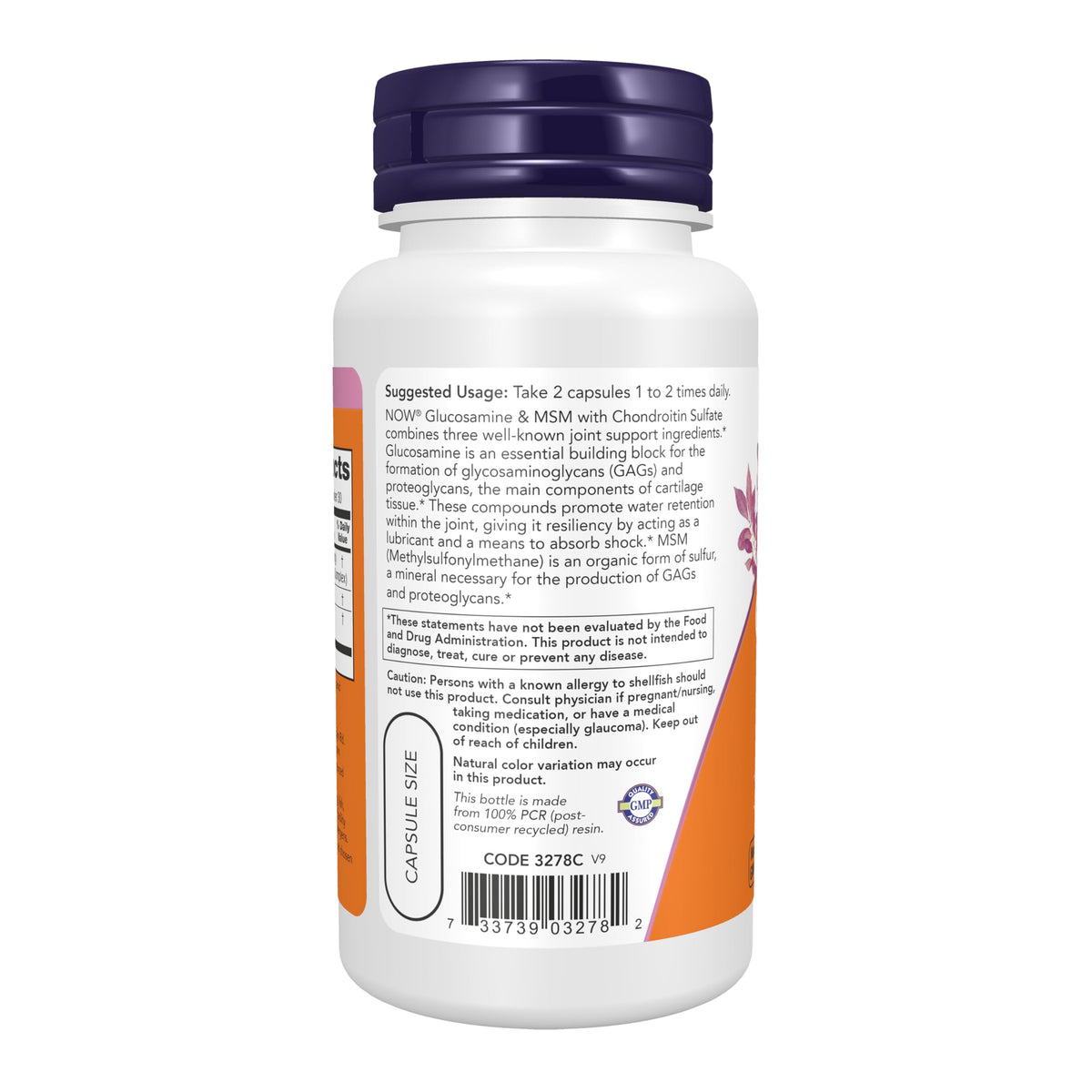 Glucosamine & MSM plus Chondroitin Sulfate, 60 Veg Caps S605
