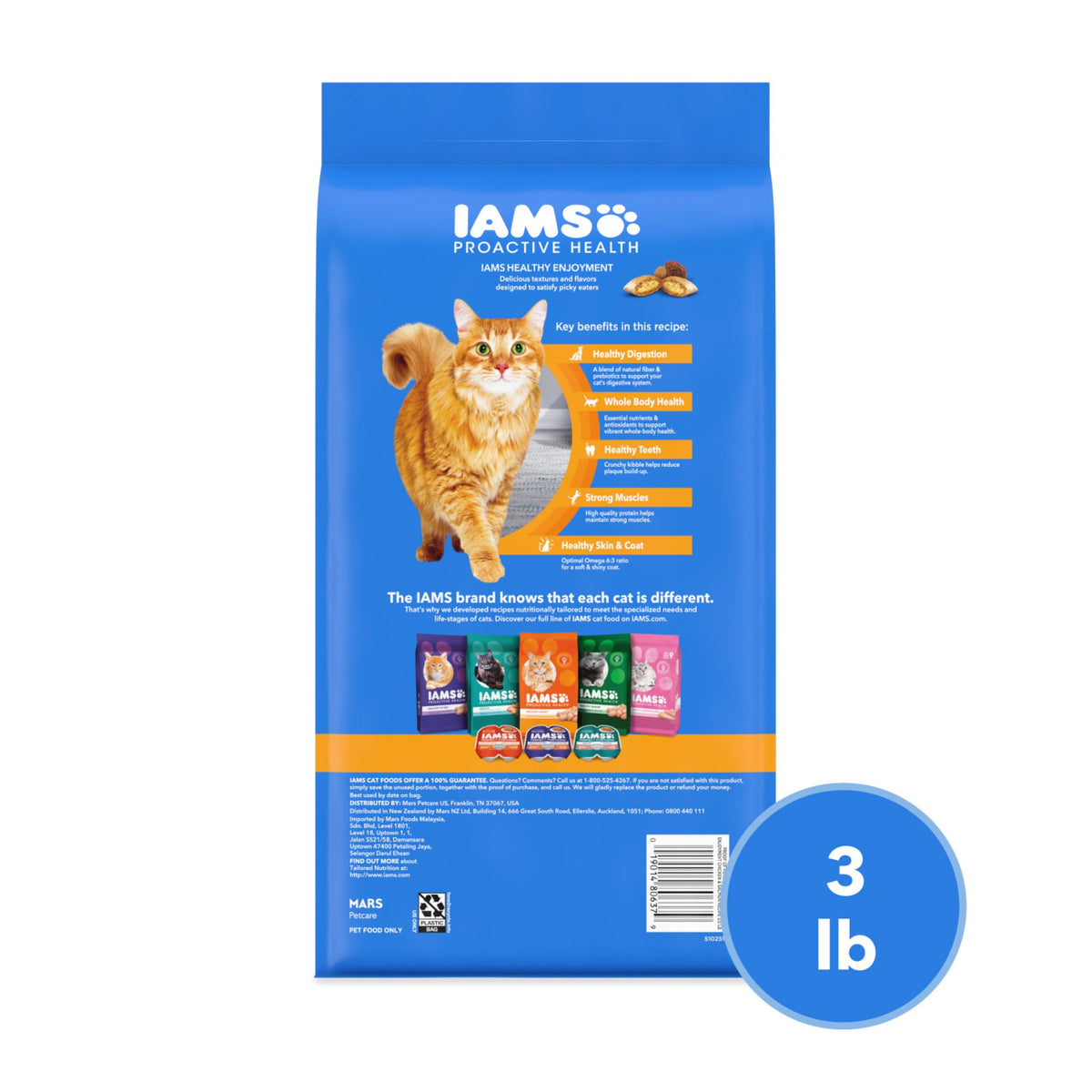 Dry Cat Food Chicken & Salmon Recipe 3 lb V722929