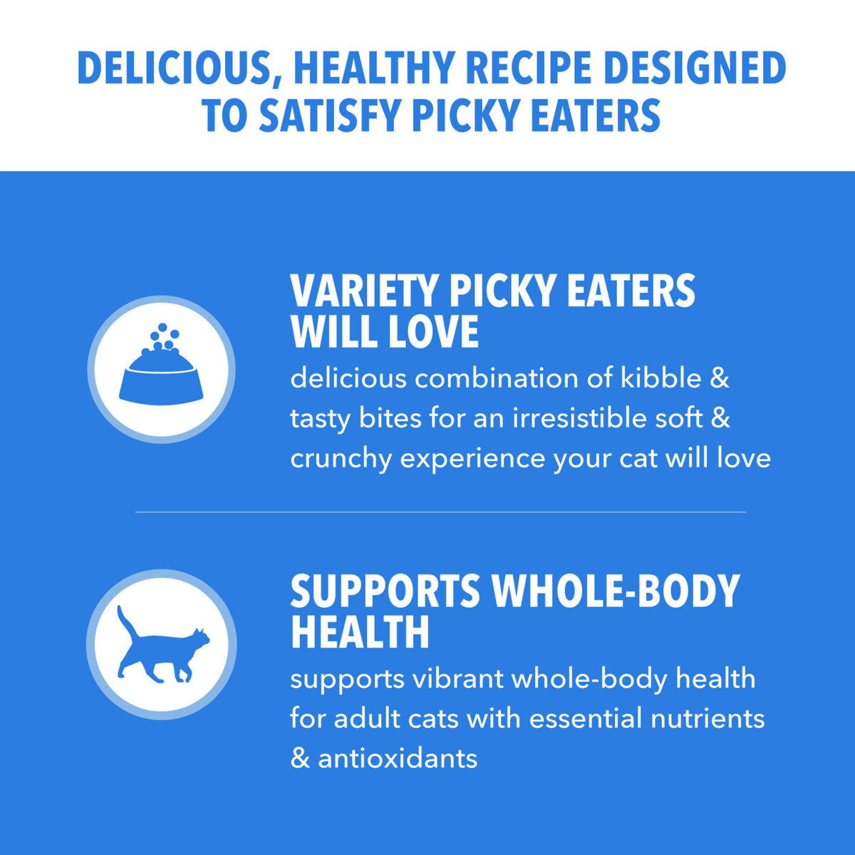 Dry Cat Food Chicken & Salmon Recipe 3 lb V722929