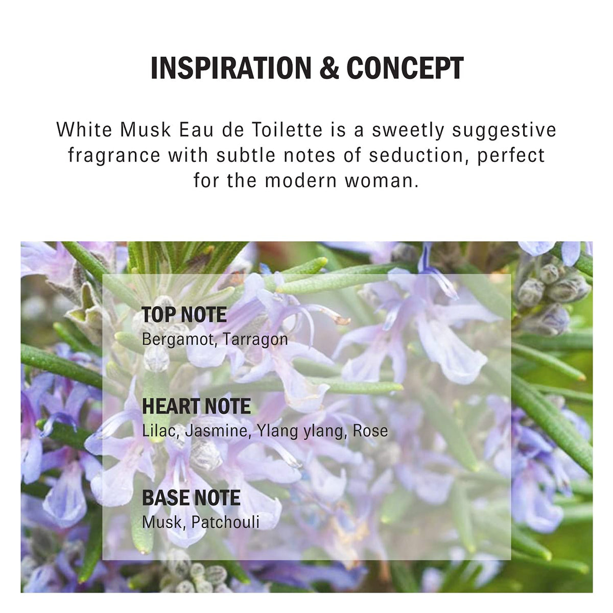 White Musk 1.7 oz EDT Spray N6349