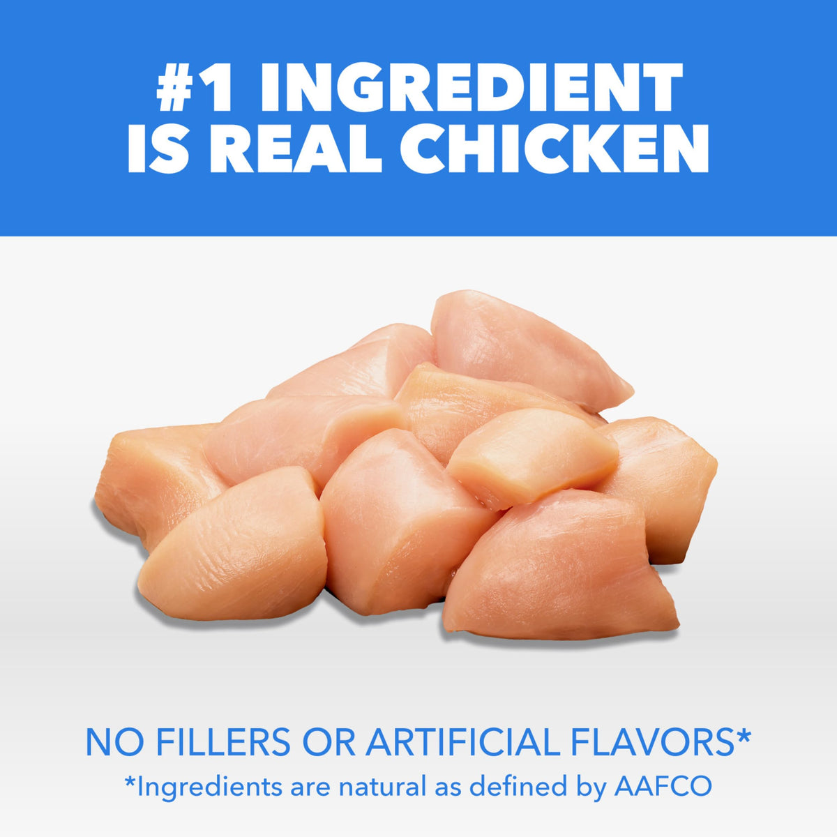Dry Cat Food Chicken & Salmon Recipe 3 lb V722929