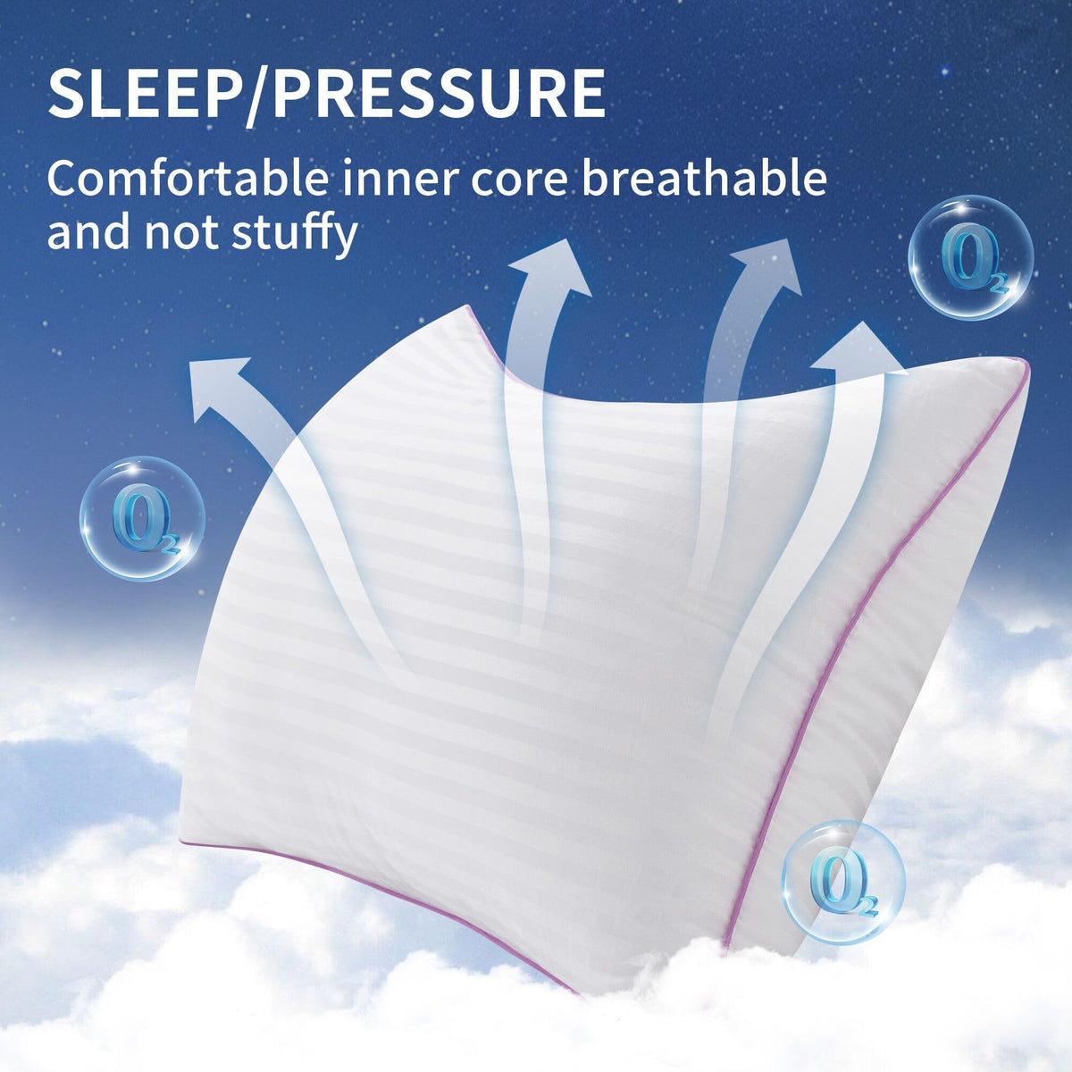 King Size Down Alternative Pillows Set of 2 B45828