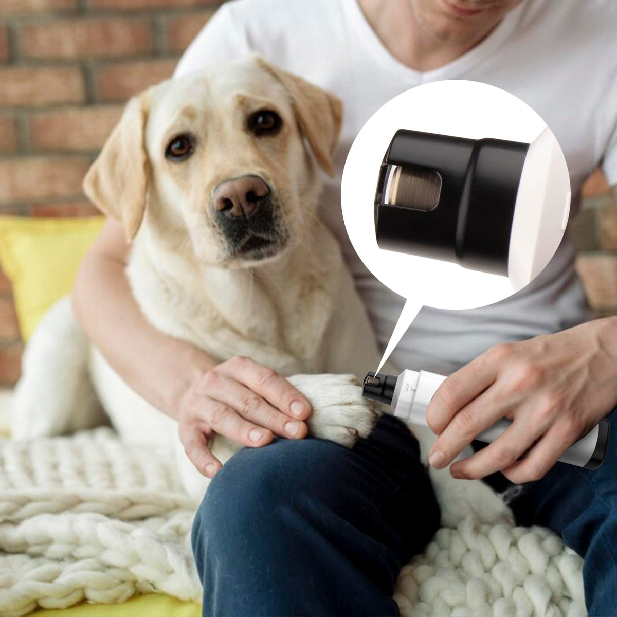 Quiet 2-Speed Type-C Rechargeable Dog Nail Grinder B867791