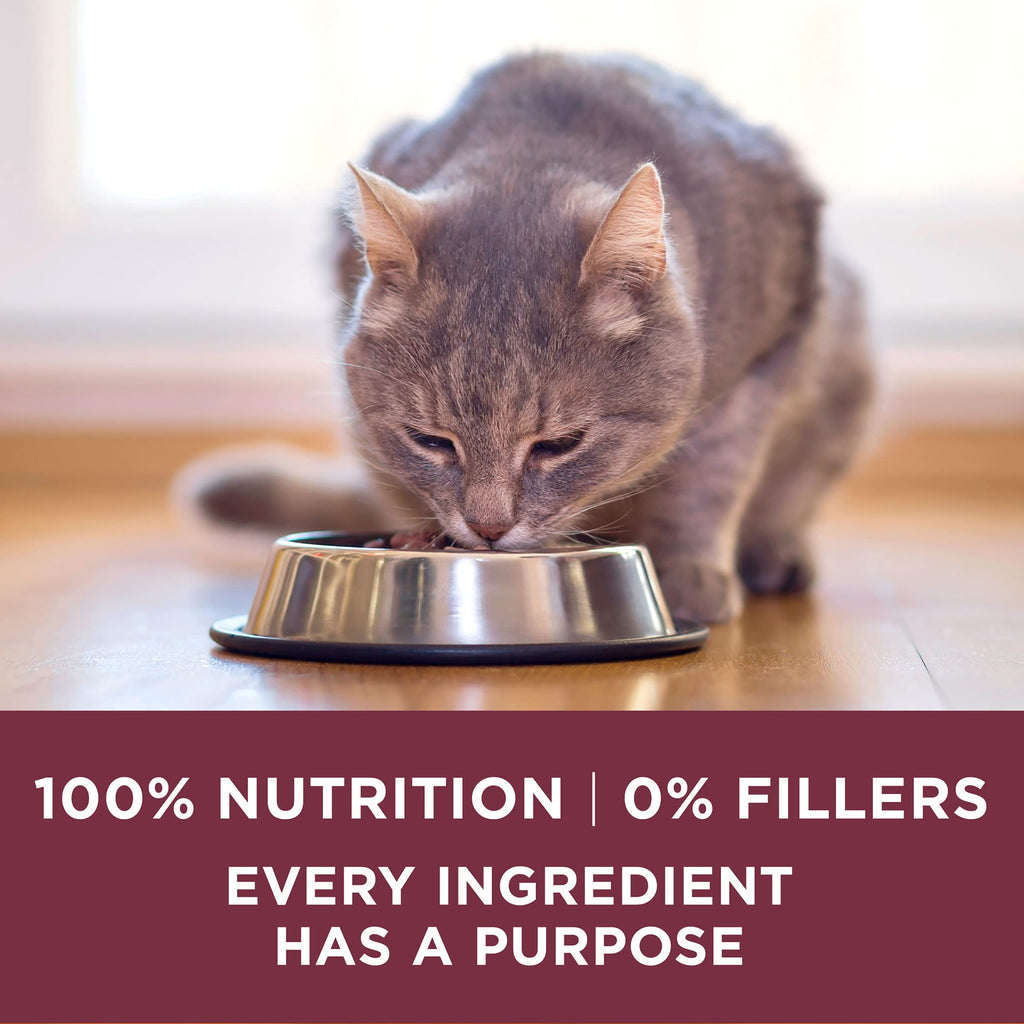 High Protein Urinary Tract Health Dry Cat Food 16 lb Bag L23466