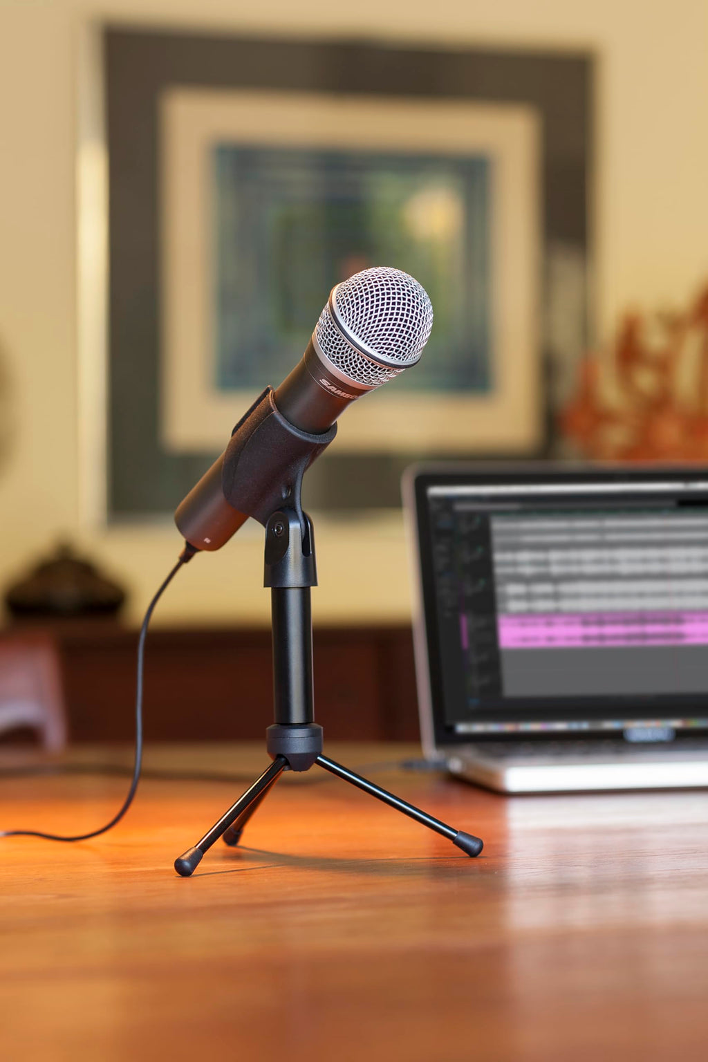 USB/XLR Dynamic Microphone Pack P8611