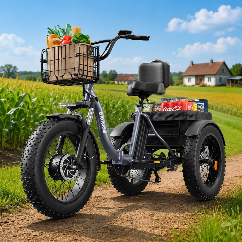 Electric Tricycle for Adults 1200W 36V 20AH Fat Tire Folding P3030