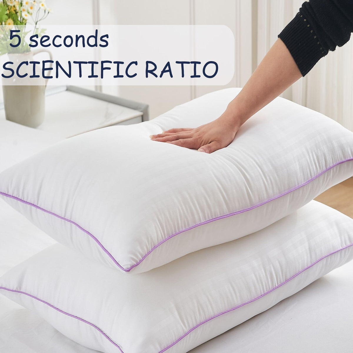 King Size Down Alternative Pillows Set of 2 B45828