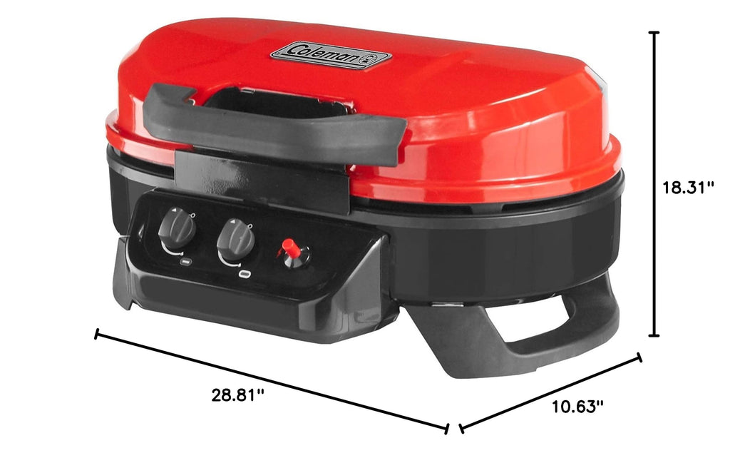 Portable 2-Burner Tabletop Gas Grill Z59962
