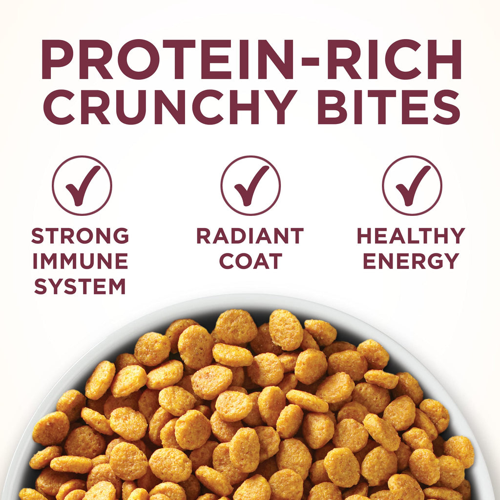 High Protein Urinary Tract Health Dry Cat Food 16 lb Bag L23466