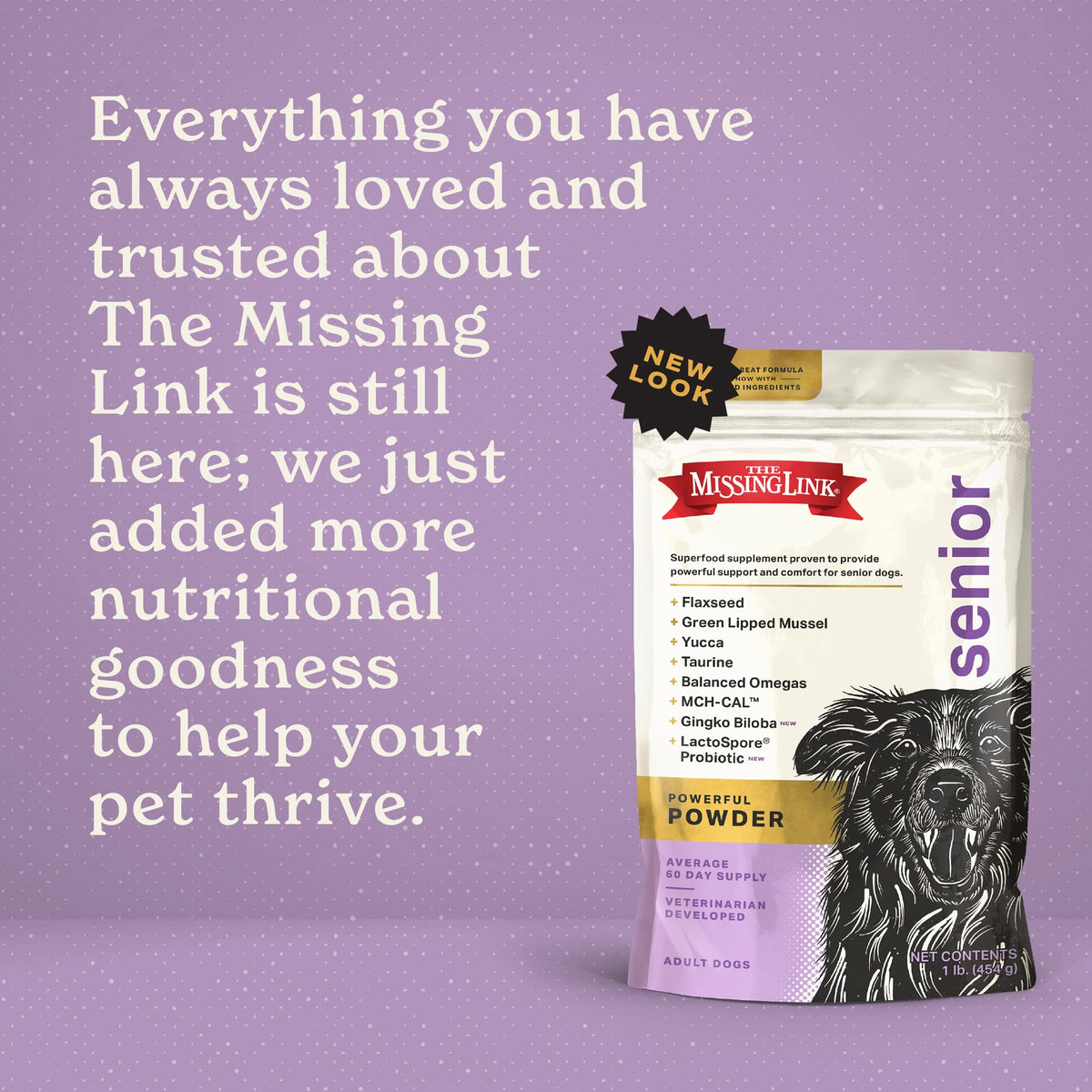 Senior Dog Supplement Powder 1lb Bag Q433