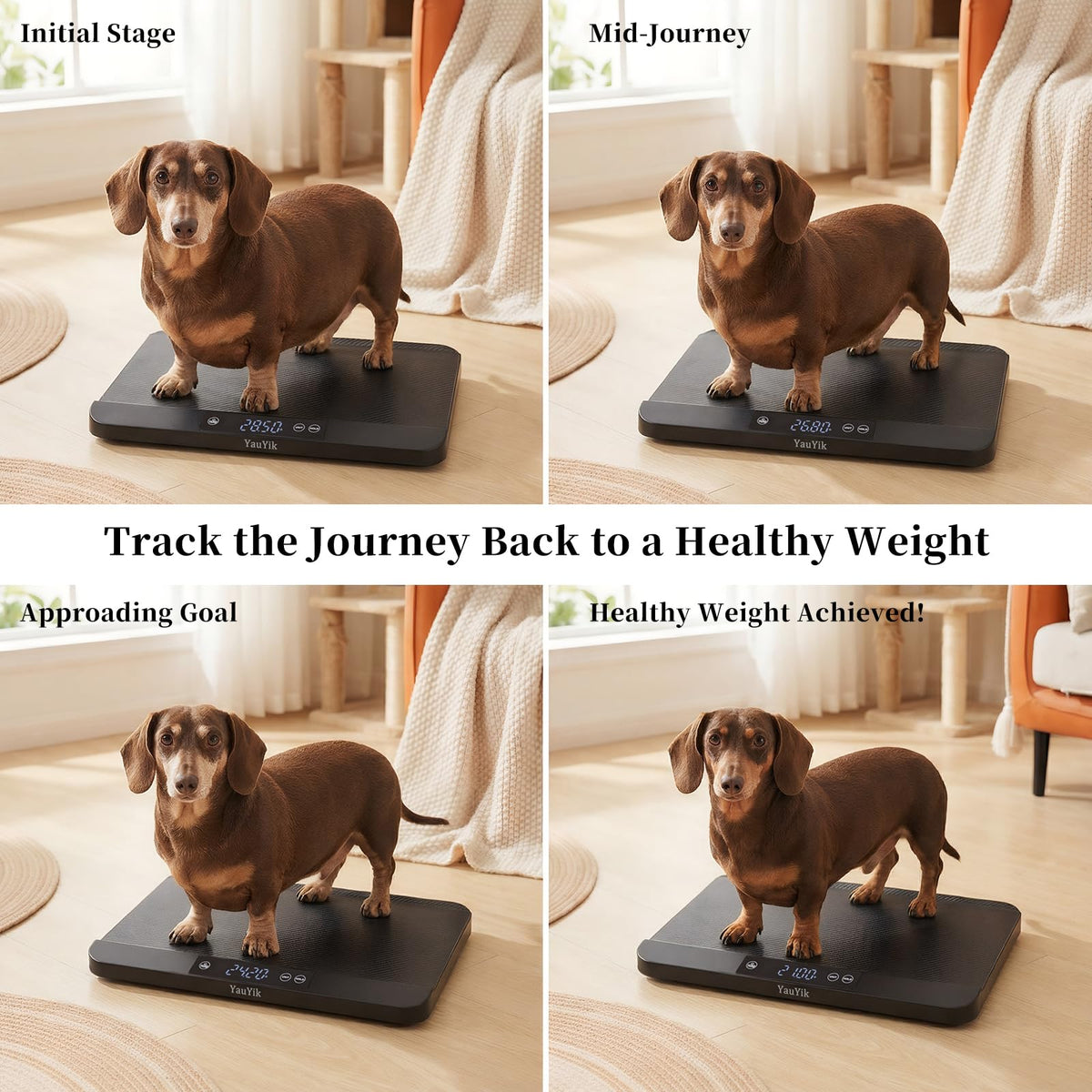 Digital Pet Scale with Non-Slip Mat, Up to 88lb, Black H526