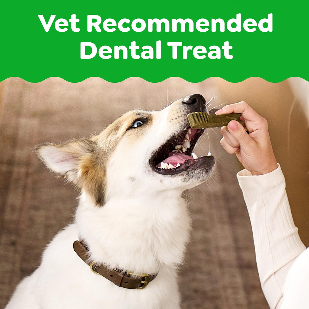 Natural Dental Dog Treats 5 Count W9932