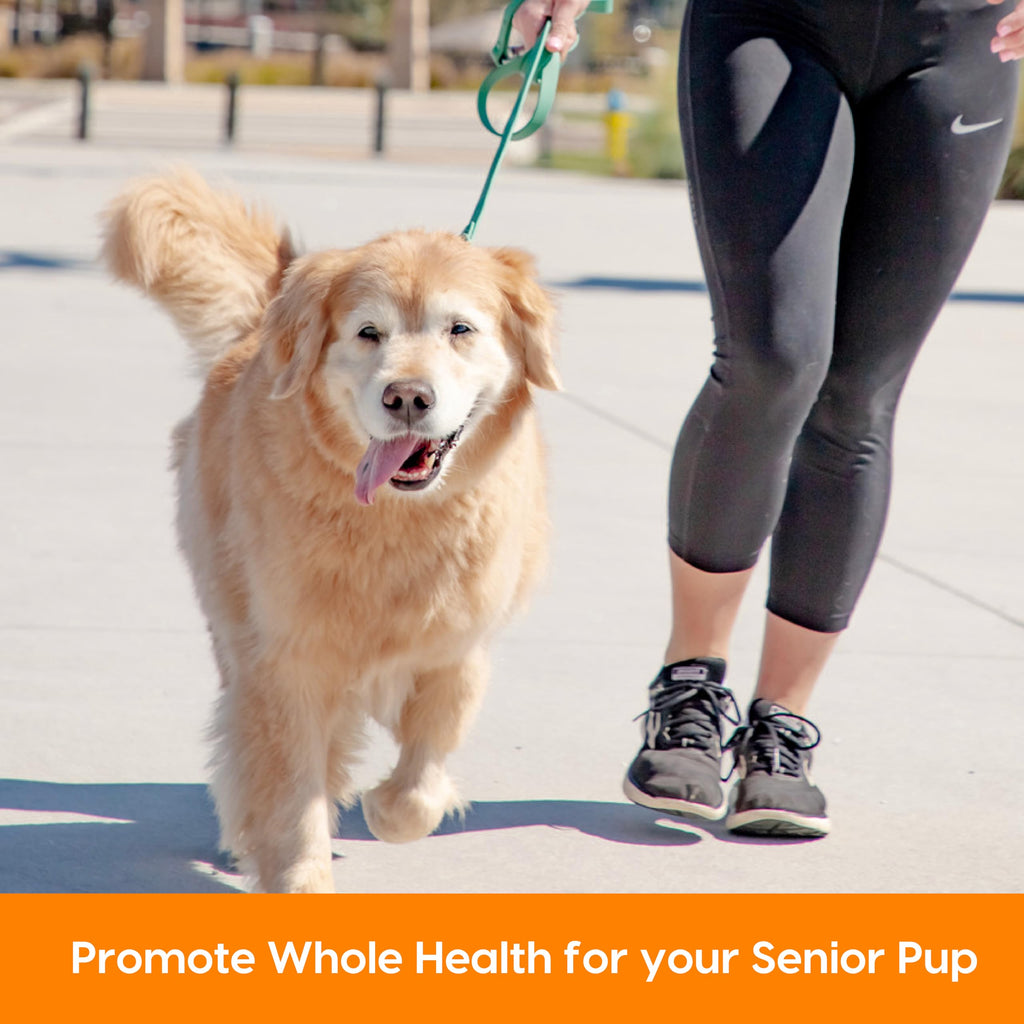 Senior Dogs Soft Chews 90 ct K775576