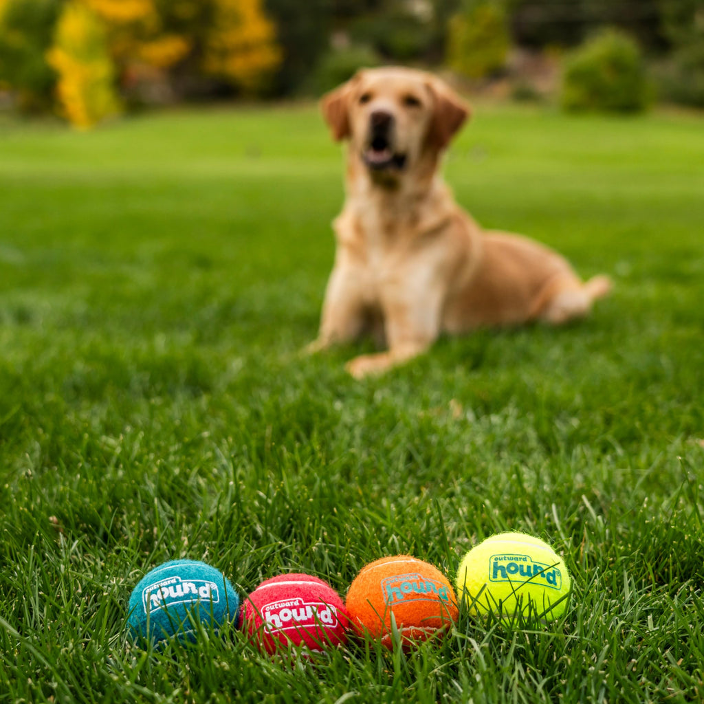 Squeaker Ballz Tennis Ball Dog Toy 4-Pack O80635