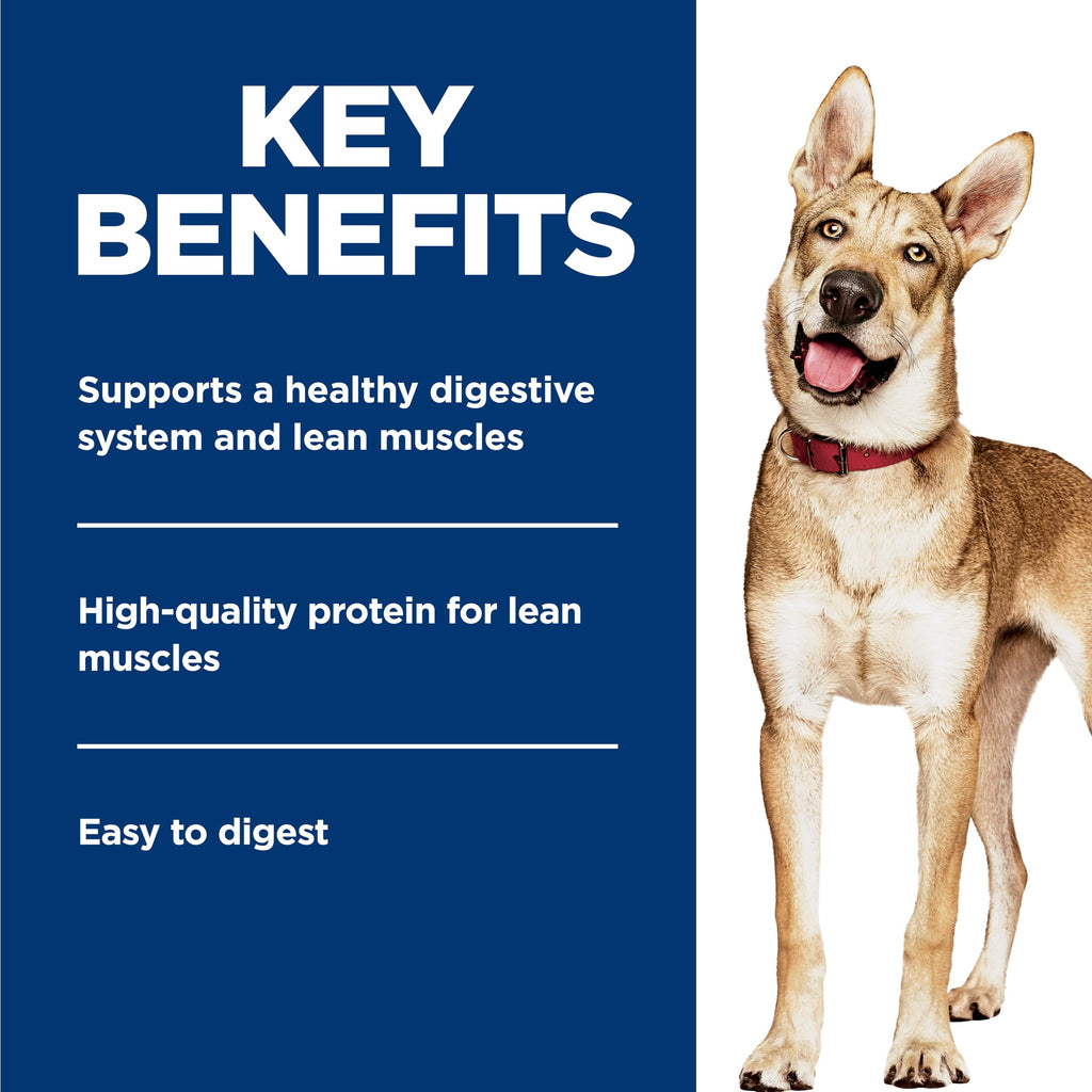 Wet Dog Food V658929