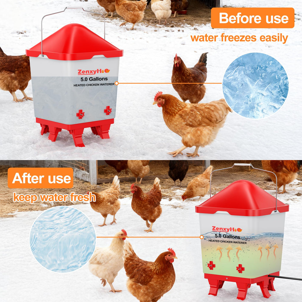 5.0 Gal Heated Chicken Waterer Bucket E6691