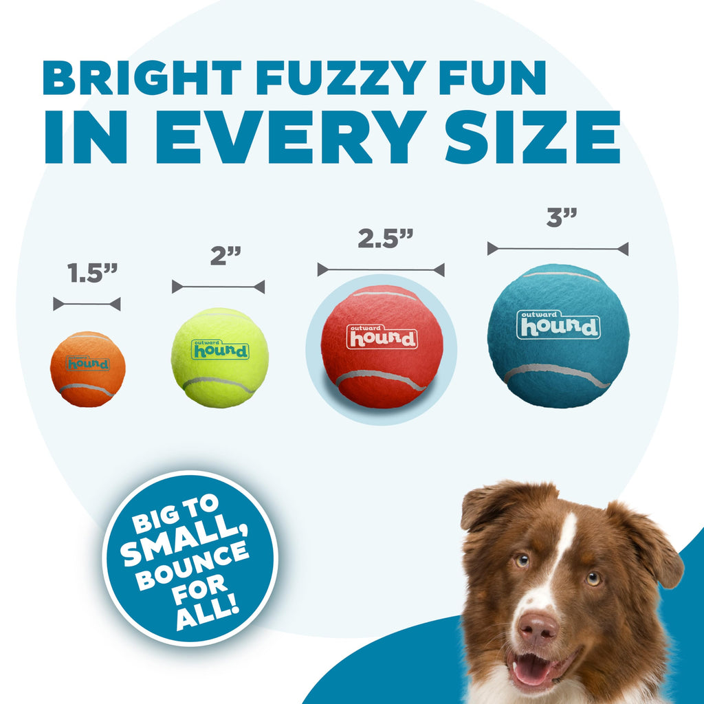 Squeaker Ballz Tennis Ball Dog Toy 4-Pack O80635