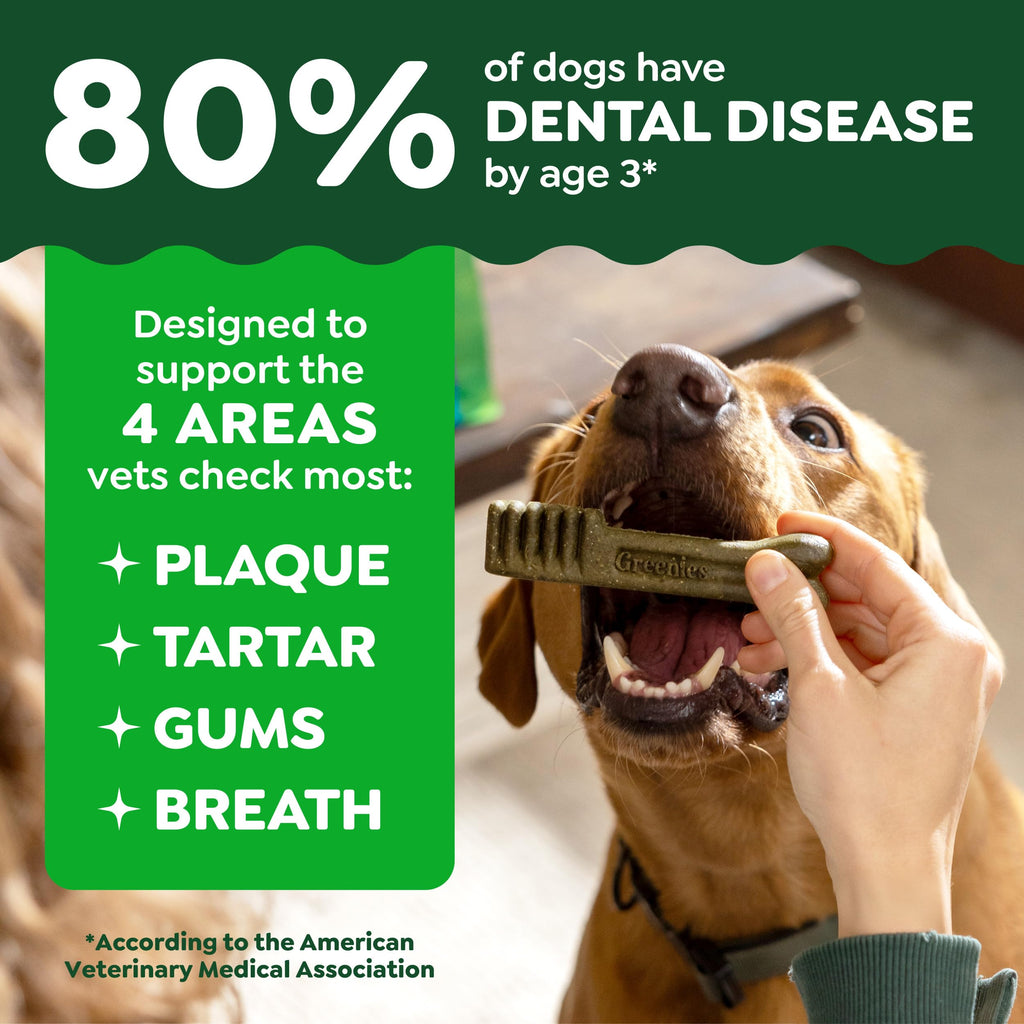 Natural Dental Dog Treats 5 Count W9932