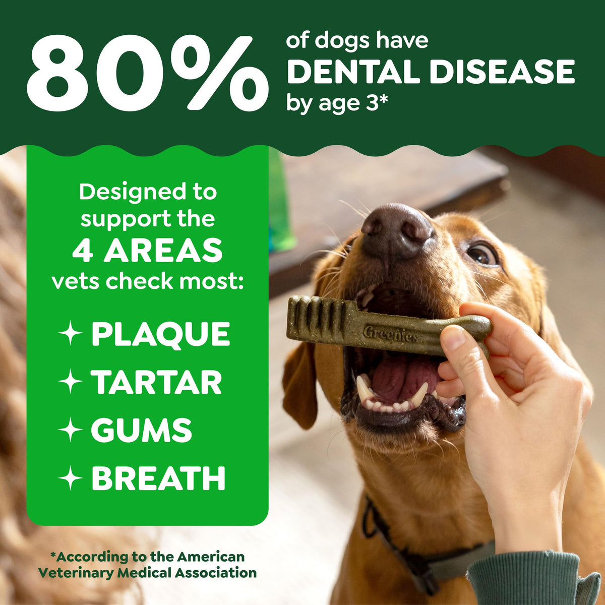 Natural Dental Dog Treats 5 Count W9932