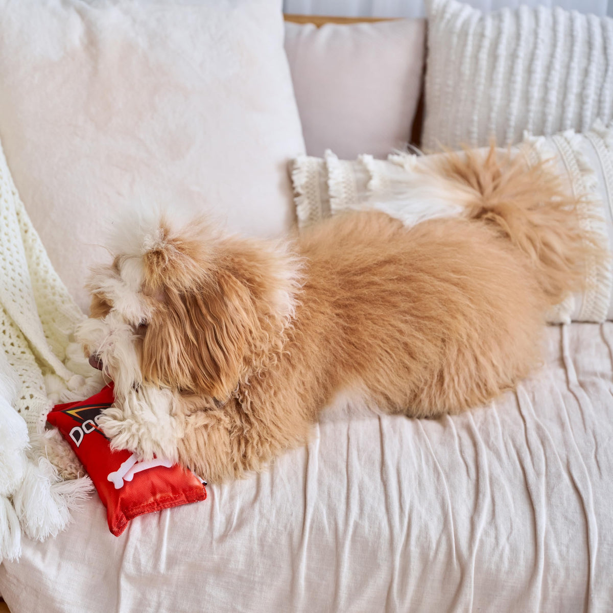 Plush Squeaker Toy for Small and Medium Dogs T823620