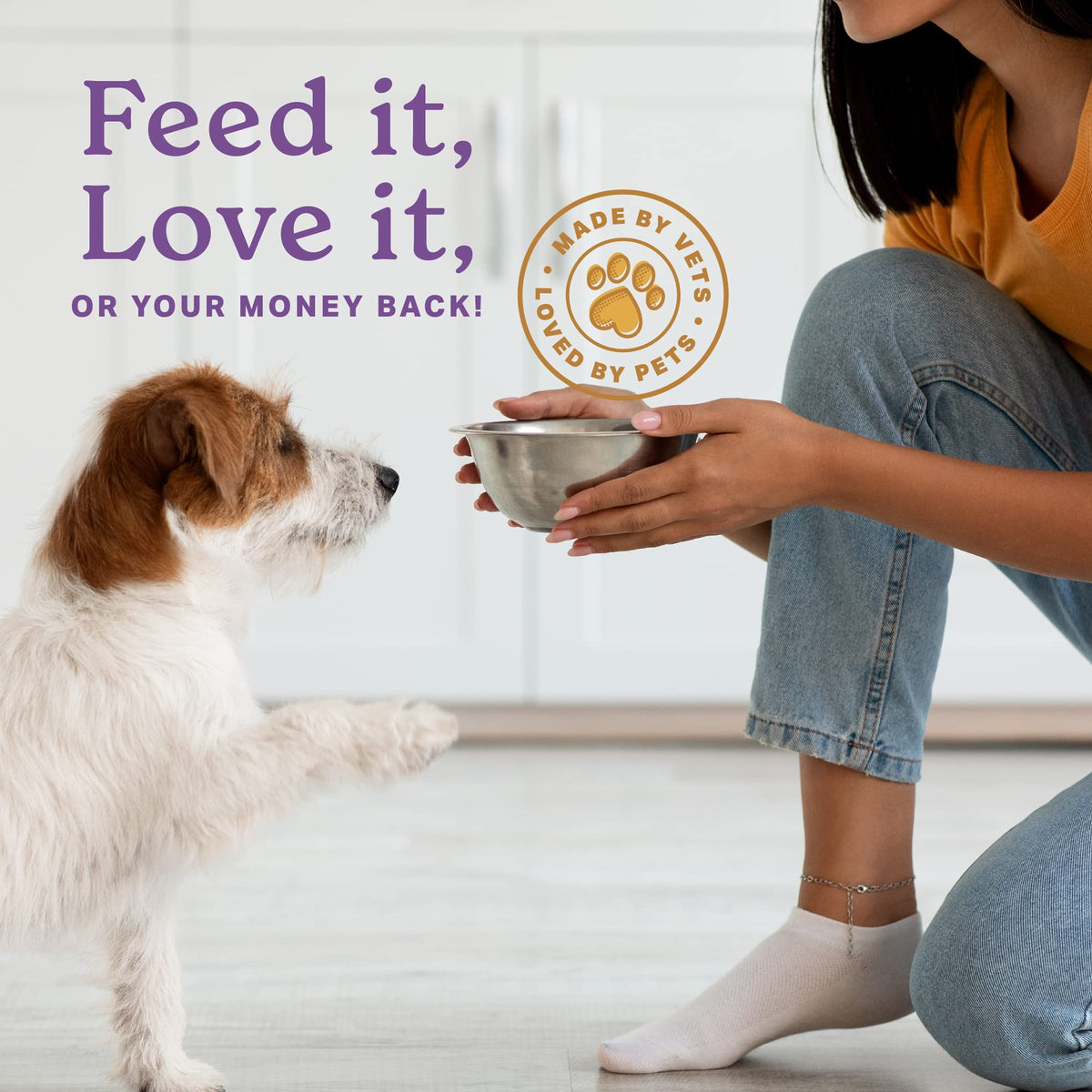 Senior Dog Supplement Powder 1lb Bag Q433