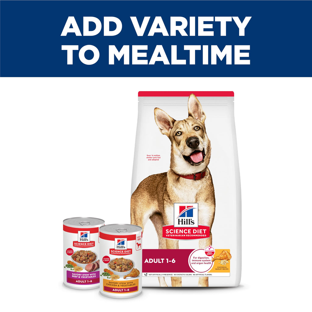Wet Dog Food V658929