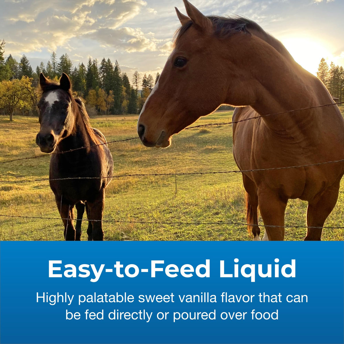 High Calorie Liquid Nutritional Supplement for Livestock 1 Gallon L756
