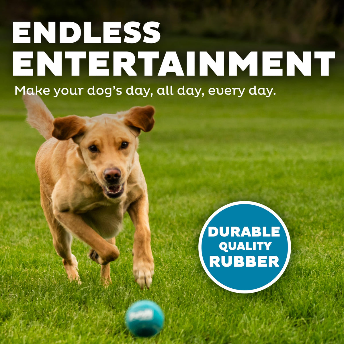 Squeaker Ballz Tennis Ball Dog Toy 4-Pack O80635