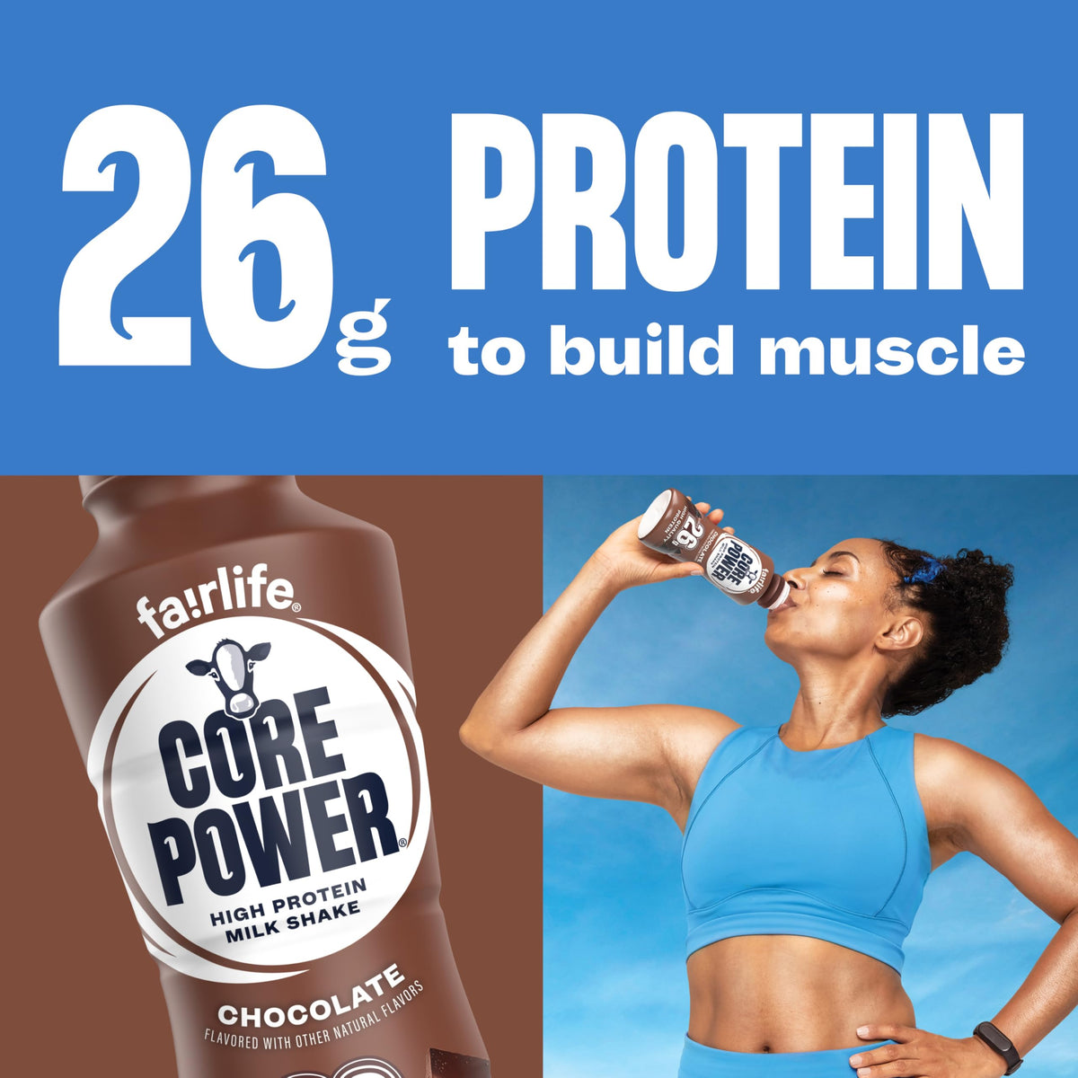 26g Protein Chocolate Milk Shakes 14 Fl Oz (Pack of 12) Q2857