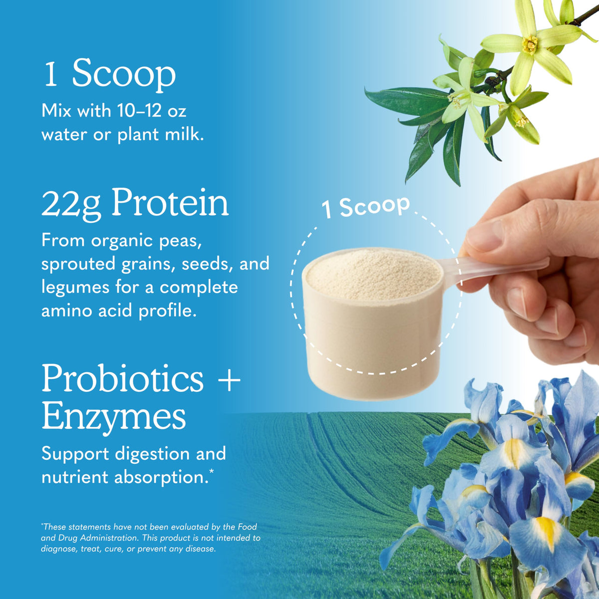 Organic Vegan Vanilla Protein Powder E913571