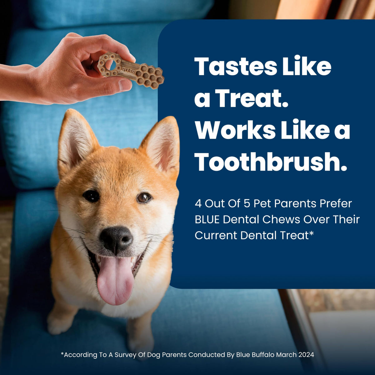 Chicken & Spearmint Small Dental Chews, 11.3 oz, 28 ct O6635