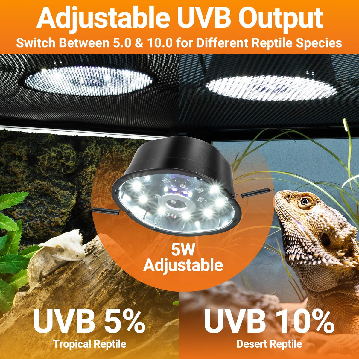 20 Gallon Reptile Terrarium Starter Kit with Heating System Thermostat UVB Light Hide Cave Feeding Dish L755180