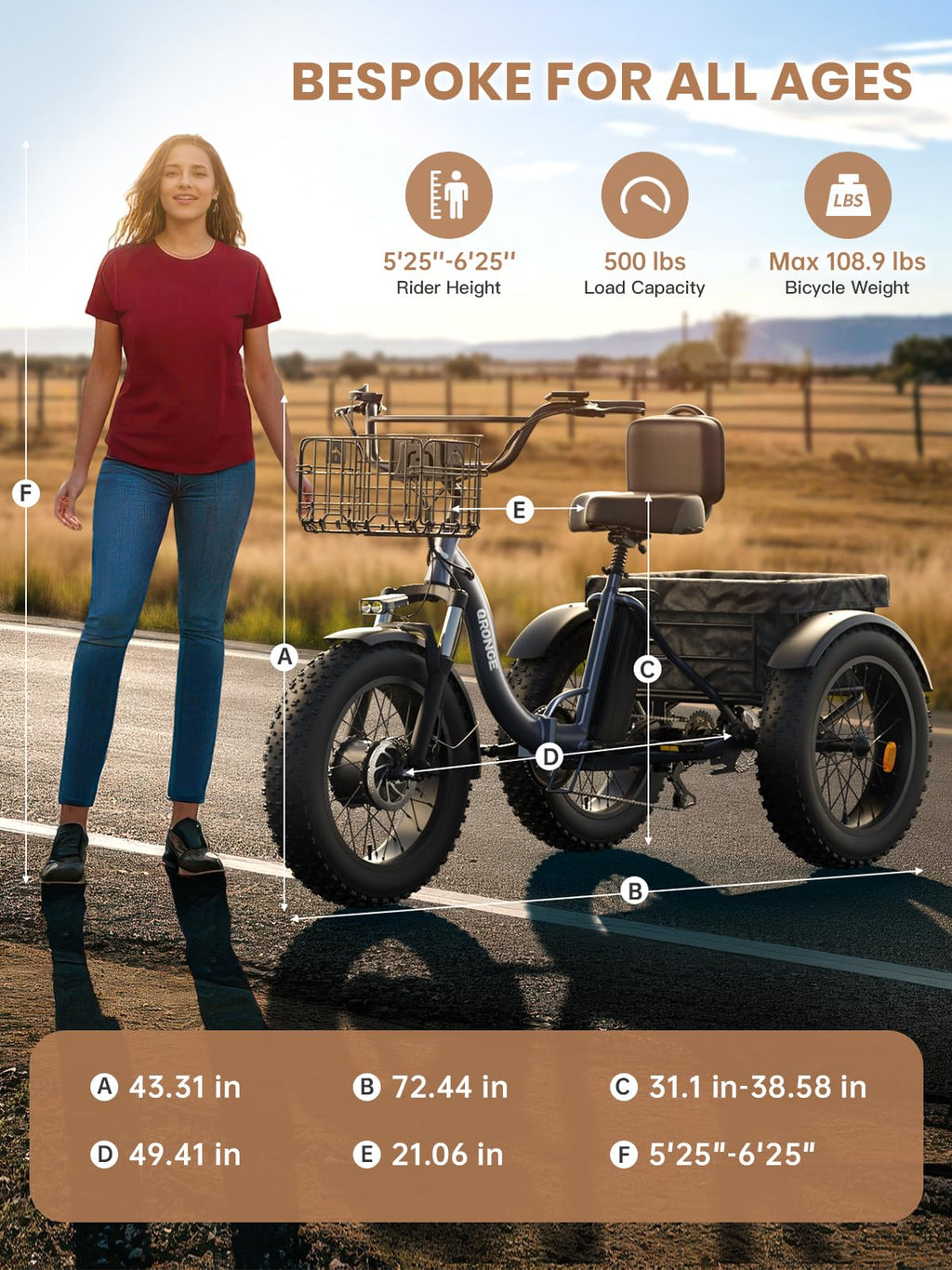 Electric Tricycle for Adults 1200W 36V 20AH Fat Tire Folding P3030