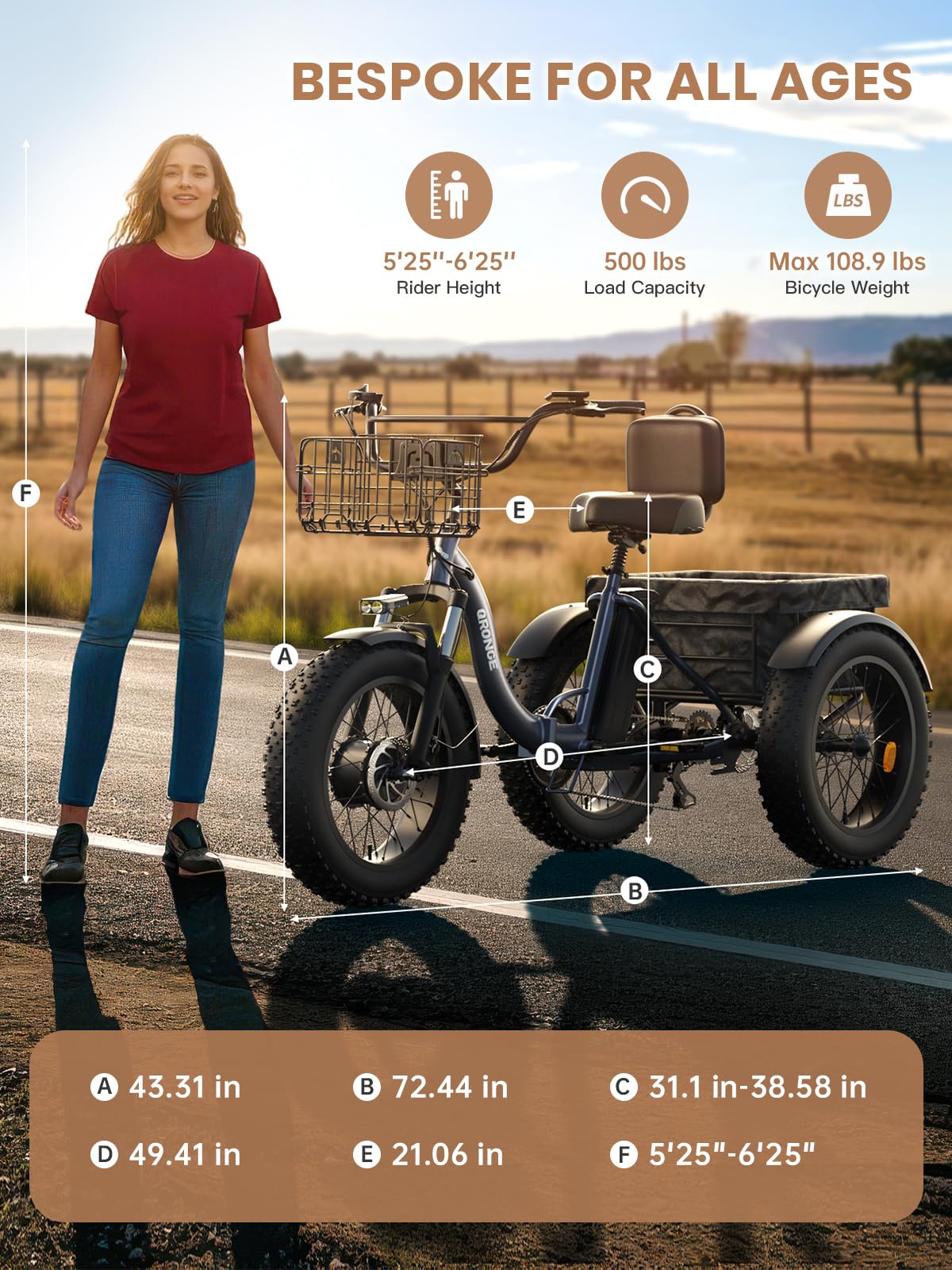 Electric Tricycle for Adults 1200W 36V 20AH Fat Tire Folding P3030