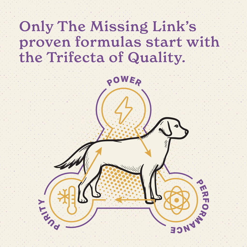 Senior Dog Supplement Powder 1lb Bag Q433