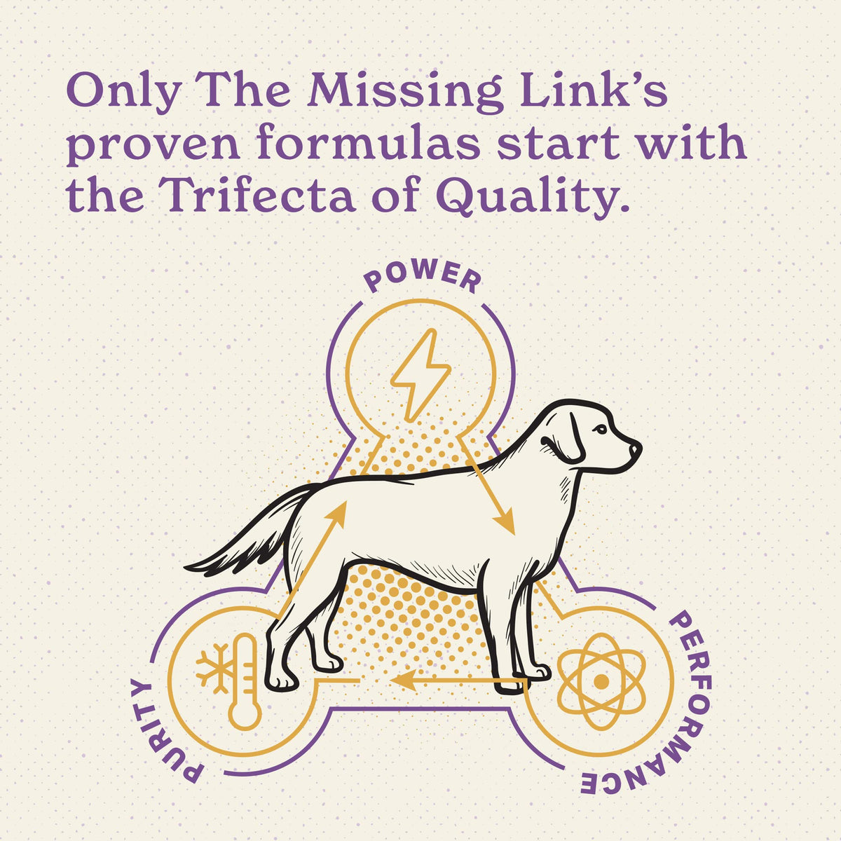 Senior Dog Supplement Powder 1lb Bag Q433