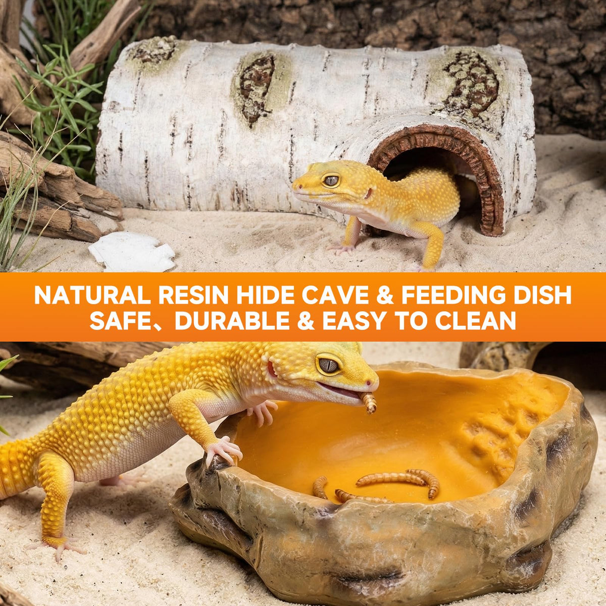 20 Gallon Reptile Terrarium Starter Kit with Heating System Thermostat UVB Light Hide Cave Feeding Dish L755180