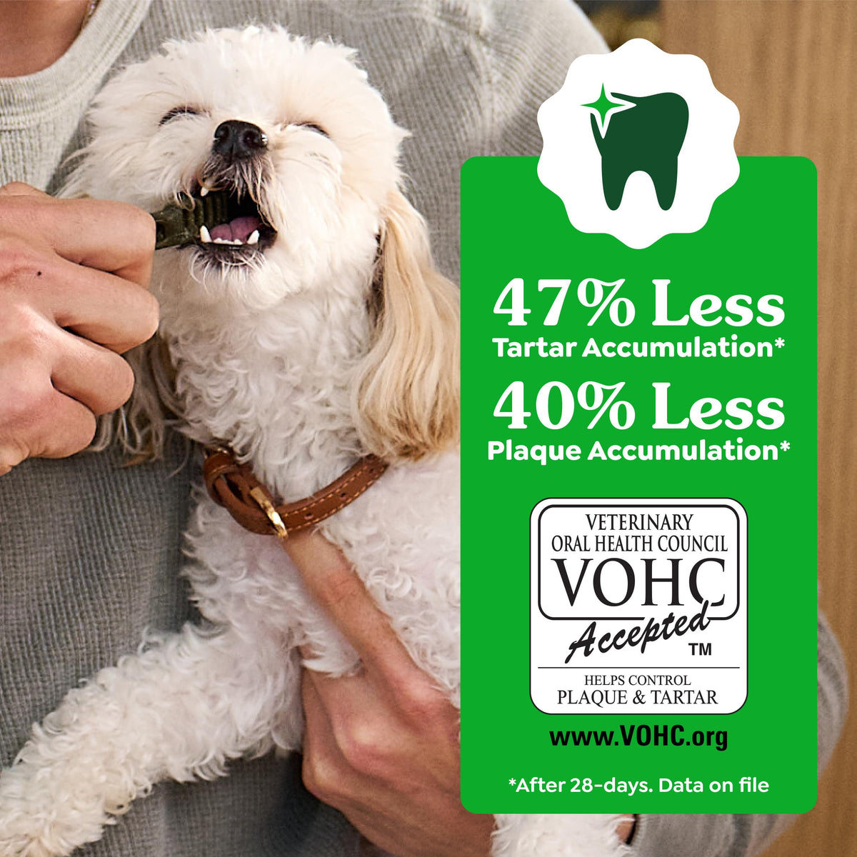 Natural Dental Dog Treats 5 Count W9932