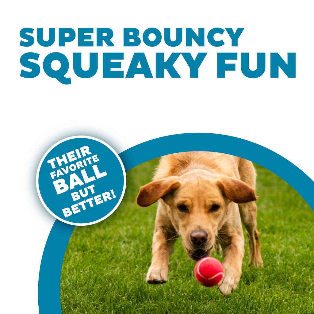 Squeaker Ballz Tennis Ball Dog Toy 4-Pack O80635