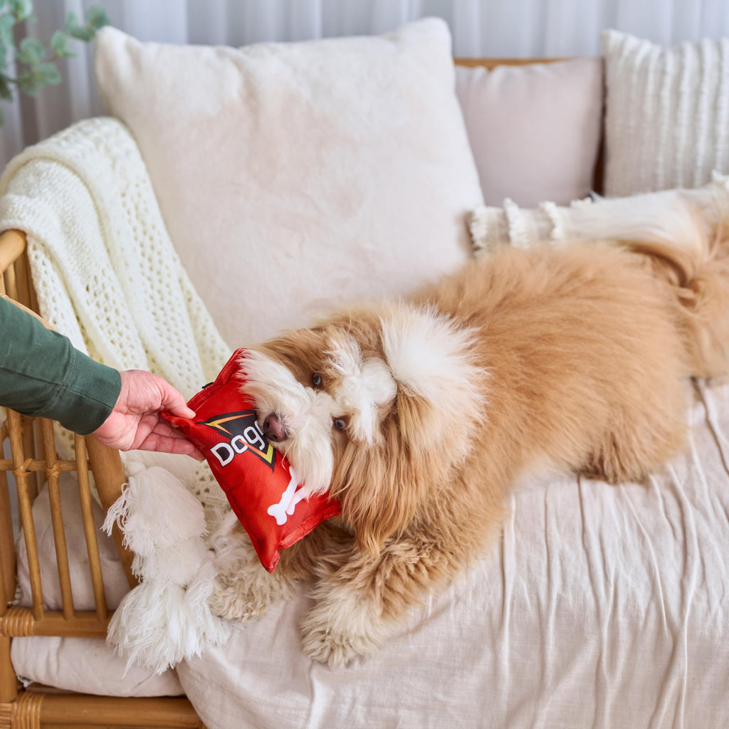Plush Squeaker Toy for Small and Medium Dogs T823620