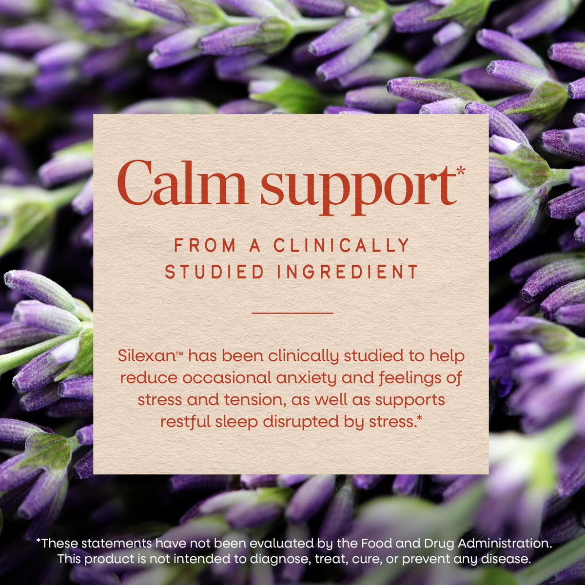 Lavender Oil Supplement 30 ct R926472