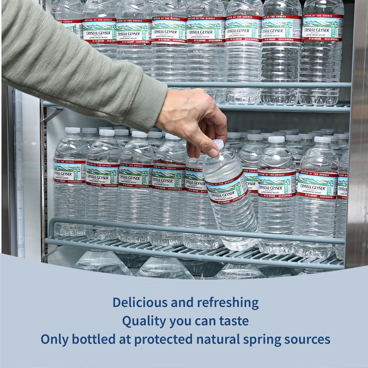 Natural Alpine Spring Water 16.9 Fl Oz (pack of 6) B236211