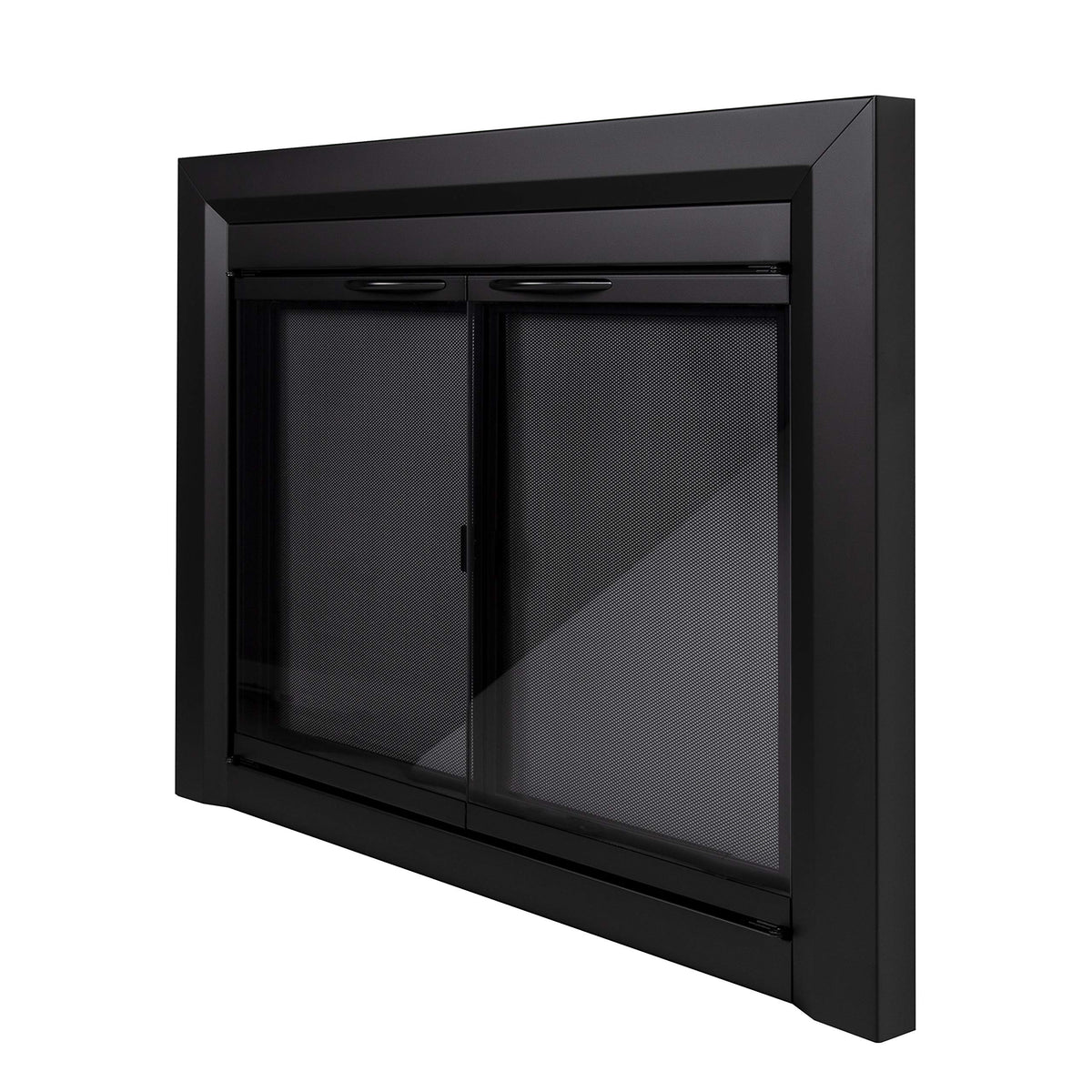 Large Fireplace Glass Door B99086