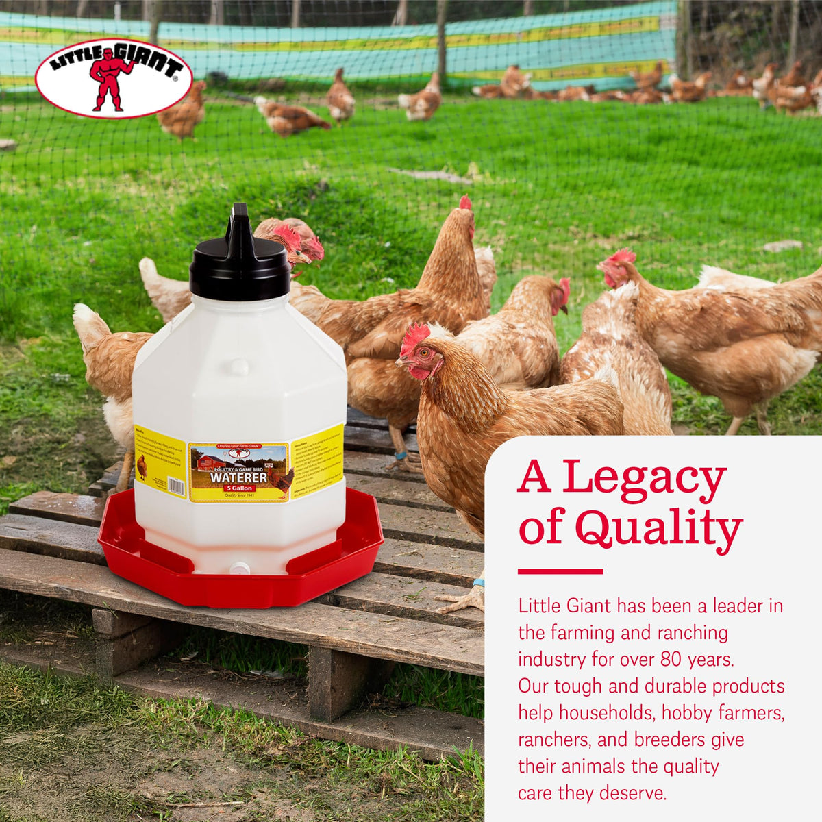Plastic Poultry Waterer U33183
