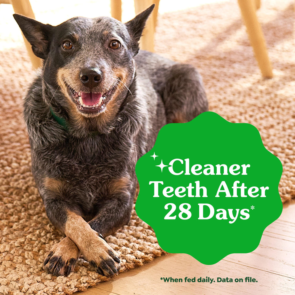 Natural Dental Dog Treats 5 Count W9932