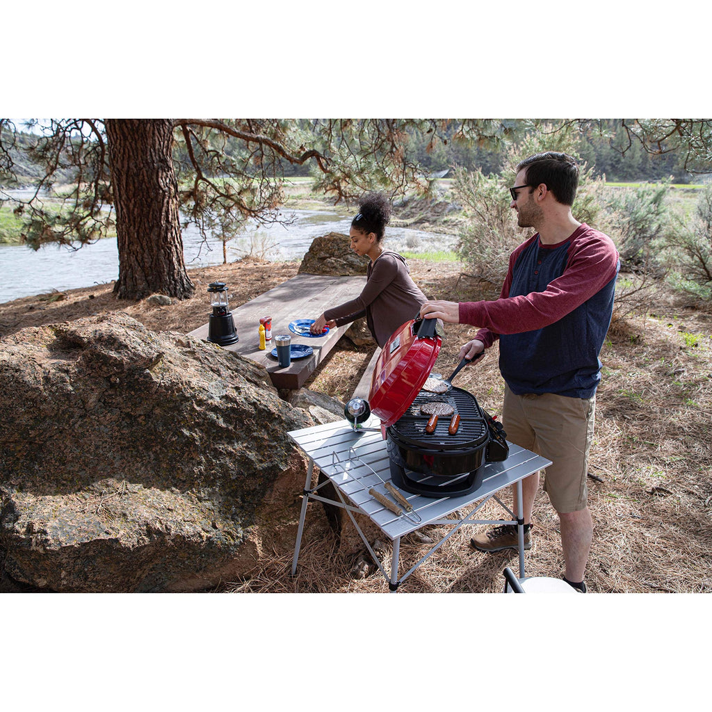 Portable 2-Burner Tabletop Gas Grill Z59962